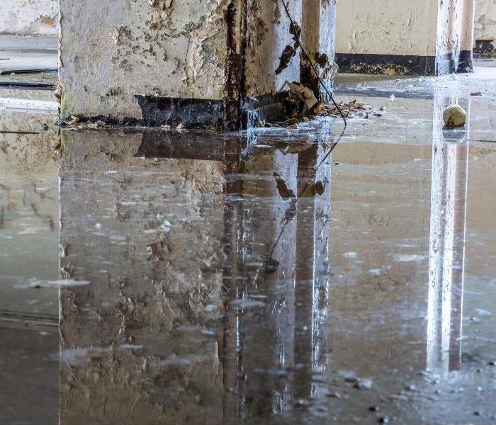 Water damaged business after fire is extinguished in Phoenix