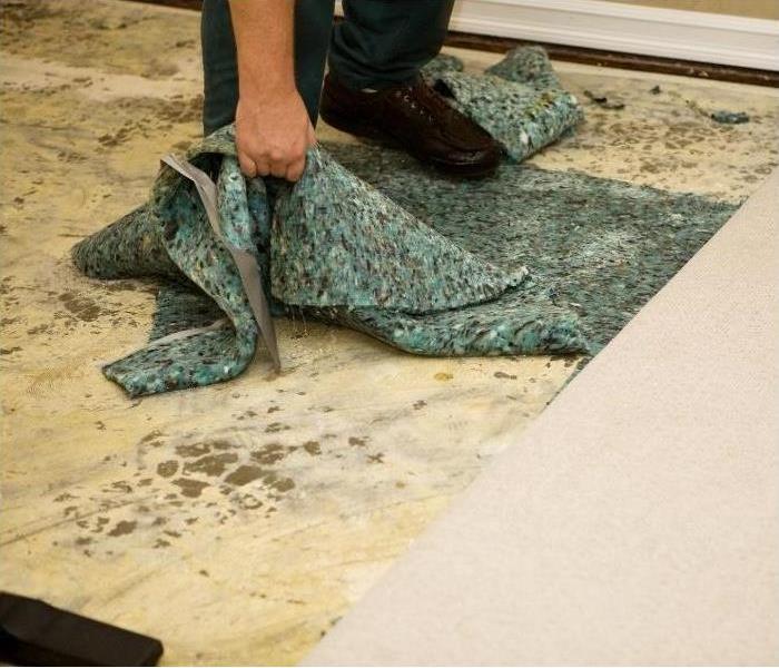 Carpet and padding damaged by water in Phoenix home